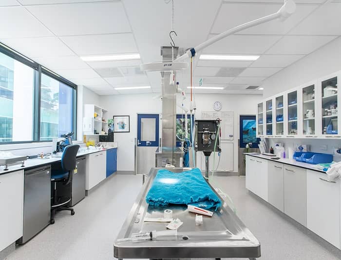 動物學實驗室 動物學實驗室